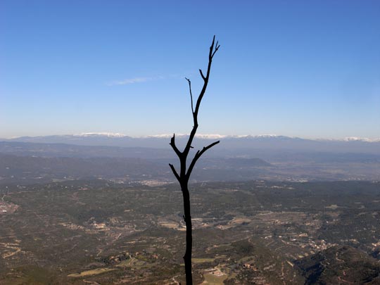  FRANCESC FÀBREGAS _ minimal 