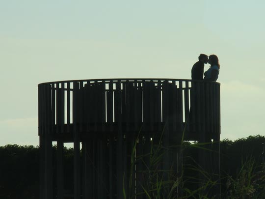  FRANCESC FÀBREGAS _ mirador de amor 
