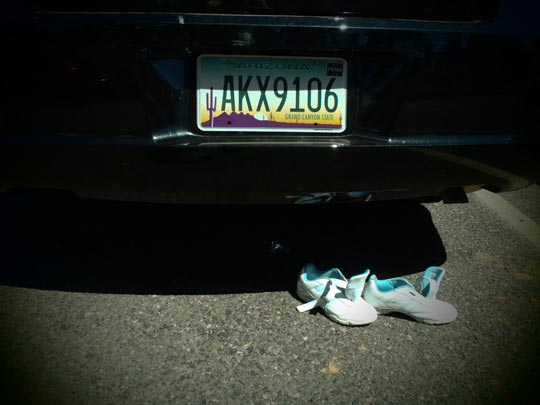  FRANCESC FÀBREGAS _ no me olvides 