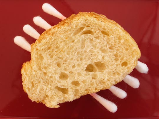  FRANCESC FÀBREGAS _ palmitospecial 