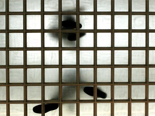  FRANCESC FÀBREGAS _ paso a paso 