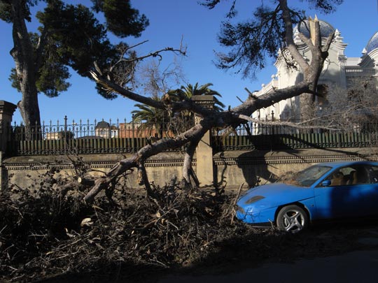  FRANCESC FÀBREGAS _ performance 