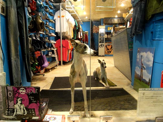  FRANCESC FÀBREGAS _ perros guardianes 