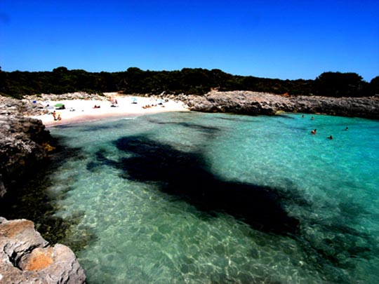  FRANCESC FÀBREGAS _ ¡que viene gustavu! 