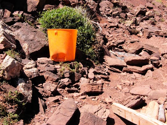  FRANCESC FÀBREGAS _ sa galleda 