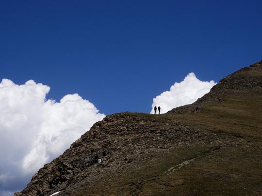  FRANCESC FÀBREGAS _ solitarios 