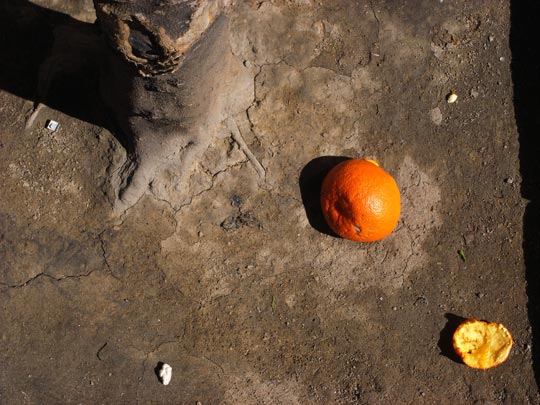  FRANCESC FÀBREGAS _ són de la xina 