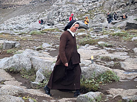  FRANCESC FÀBREGAS _ sor björk 