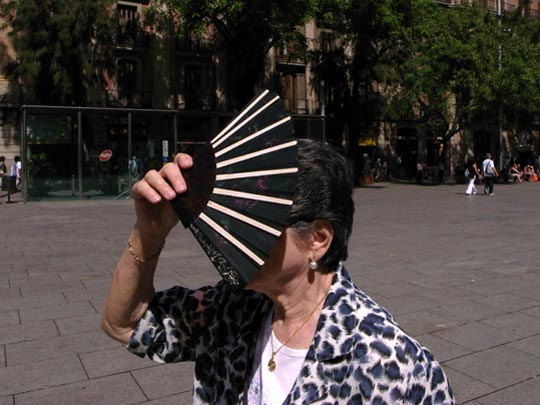  FRANCESC FÀBREGAS _ sra de camuflaje 