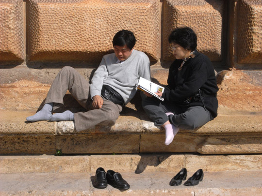  FRANCESC FÀBREGAS _ stamby 