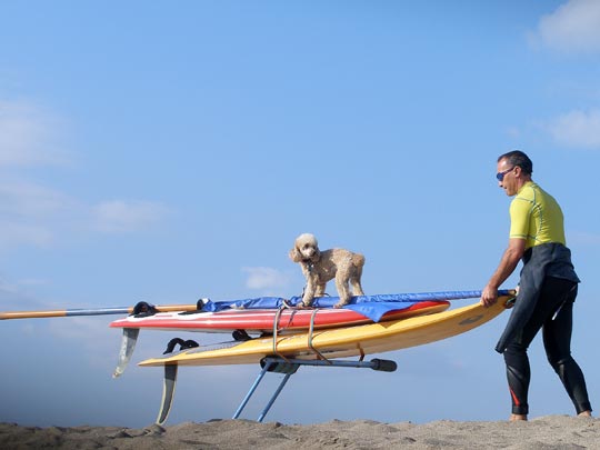  FRANCESC FÀBREGAS _ surfeperra 