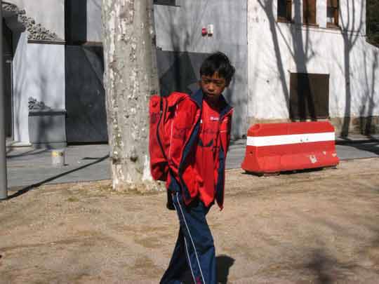  FRANCESC FÀBREGAS _ surprise 