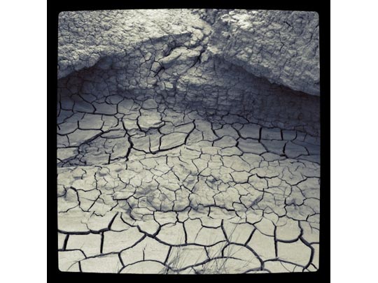  FRANCESC FÀBREGAS _ terra nostra 