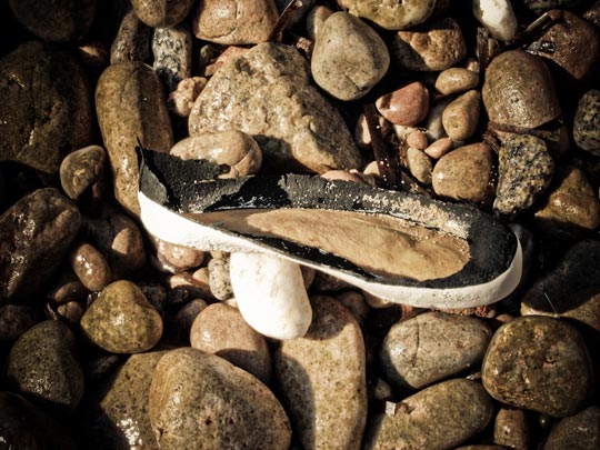  FRANCESC FÀBREGAS _ the lost 