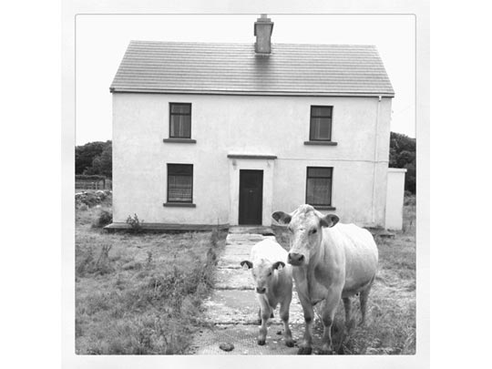  FRANCESC FÀBREGAS _ the special guests 