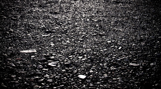  FRANCESC FÀBREGAS _ the stones 