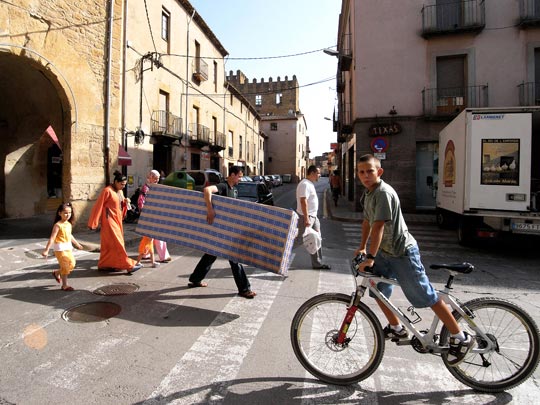  FRANCESC FÀBREGAS _ trans lation 