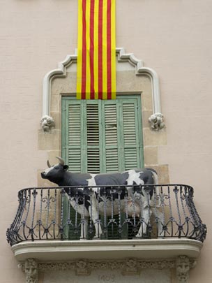  FRANCESC FÀBREGAS _ vaca indi 