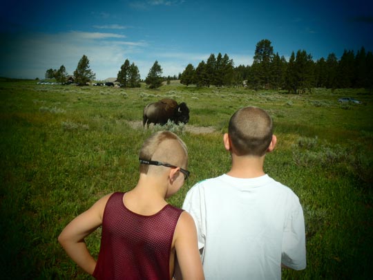  FRANCESC FÀBREGAS _ verano animal 