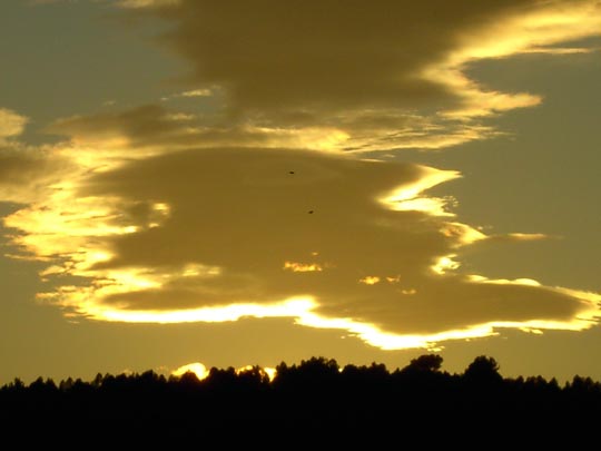  FERMÍ FERNANDES _ atardecer amarillo 