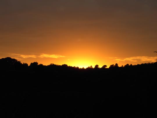  FERMÍ FERNANDES _ mi crepúsculo 