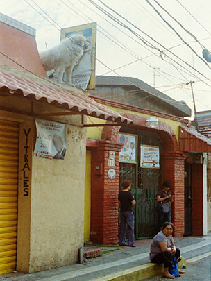  HANNA QUEVEDO _ hay leones en los tejados 