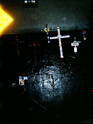  HANNA QUEVEDO _ the disposable experiment<!--. el experimento de la cámara de usar y tirar--> 