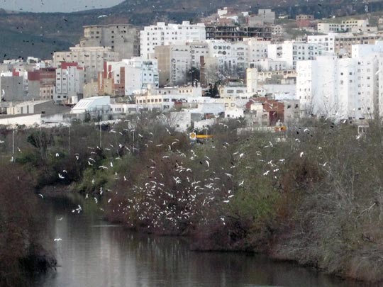  JON SISTIAGA _ after hours aviar 