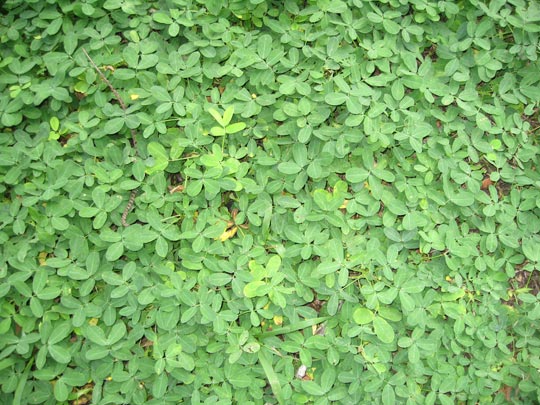  JON SISTIAGA _ ¡anda mia, dame un wallpaper! 