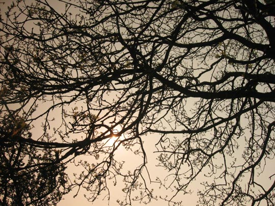  JON SISTIAGA _ aprendiendo de ayyashi 