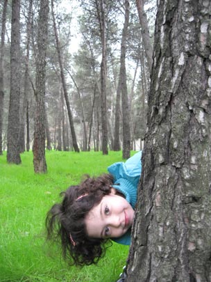  JON SISTIAGA _ bosque encantado 