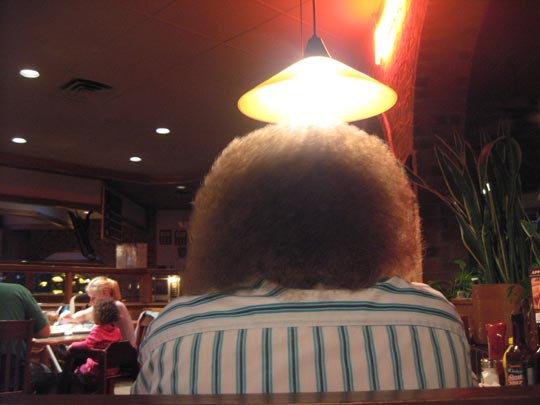  JON SISTIAGA _ caponata tiene una idea 