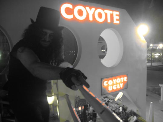  JON SISTIAGA _ coyotes en la terraza 