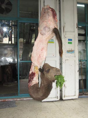  JON SISTIAGA _ crisis en palestina 