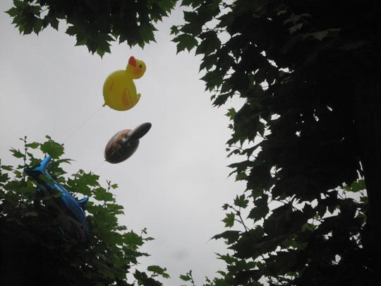 JON SISTIAGA _ el árbol que amaba a los globos 