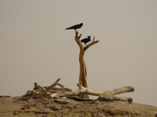  JON SISTIAGA _ esperando 