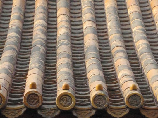  JON SISTIAGA _ gusanos en el tejado 