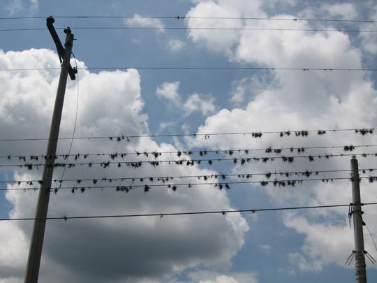  JON SISTIAGA _ interferencias 