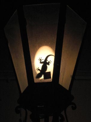  JON SISTIAGA _ la salamandra va de farol 