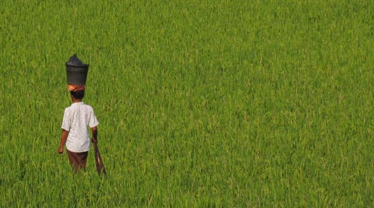  JON SISTIAGA _ mundo verde 