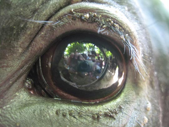  JON SISTIAGA _ ojo de pez en ojo de caballo 