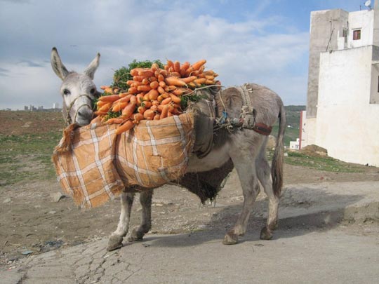  JON SISTIAGA _ repostando 