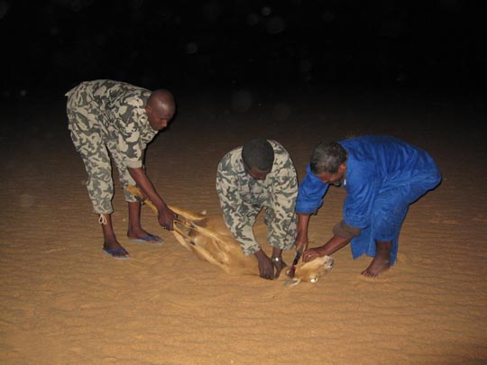  JON SISTIAGA _ sacrificio y cena 