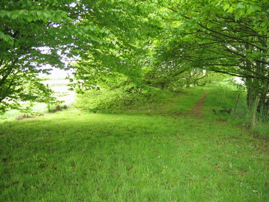  JON SISTIAGA _ shrek's promenade 