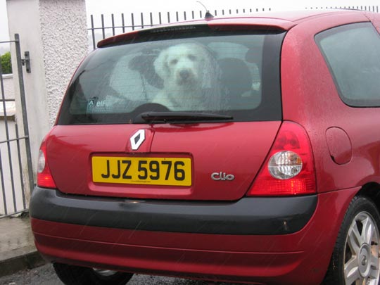  JON SISTIAGA _ tristeza cautiva 