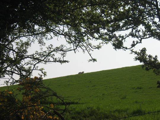  JON SISTIAGA _ ventana al campo 