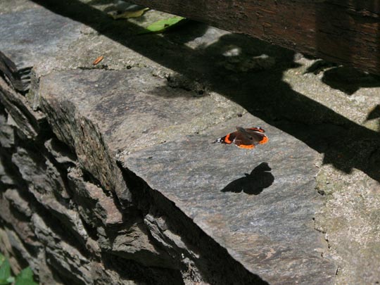  MARCELO AURELIO _ aterrizaje 