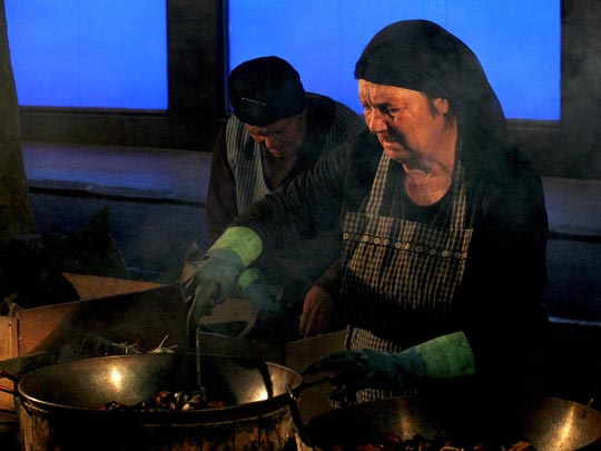  MARCELO AURELIO _ castañera de terrassa 