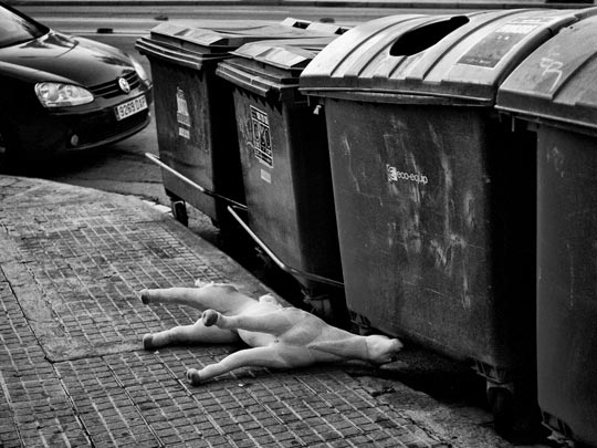  MARCELO AURELIO _ el caballito soñado 