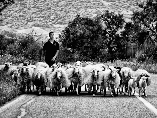  MARCELO AURELIO _ el pastor, cerdeña 